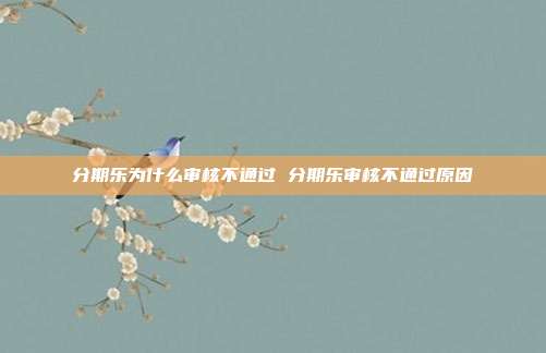 分期乐为什么审核不通过 分期乐审核不通过原因