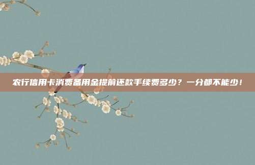 农行信用卡消费备用金提前还款手续费多少？一分都不能少！