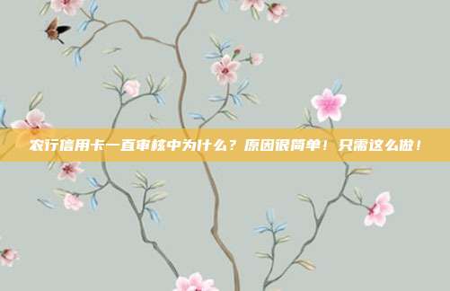 农行信用卡一直审核中为什么?原因很简单!只需这么做!
