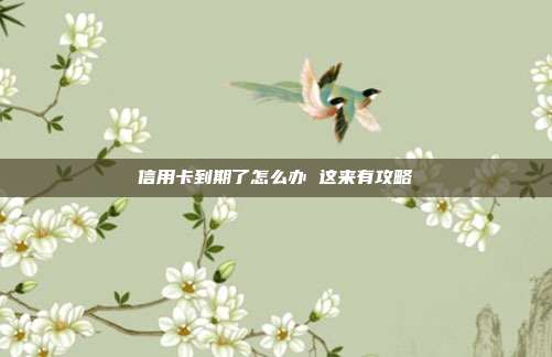 信用卡到期了怎么办 这来有攻略
