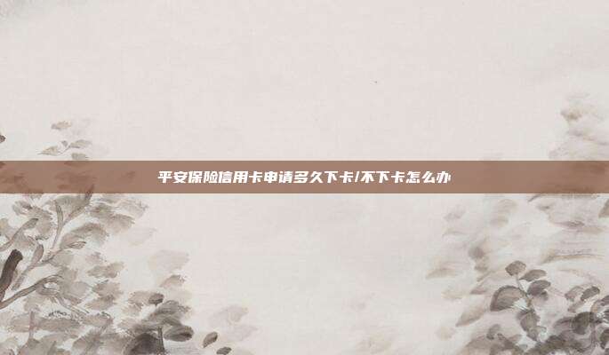 平安保险信用卡申请多久下卡/不下卡怎么办