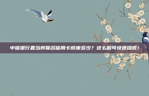 中信银行麦当劳联名信用卡额度多少？这么做可快速提额！