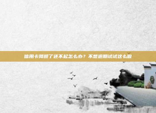 信用卡降额了还不起怎么办?不想逾期试试这么做