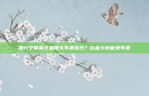 建行宁聚英才信用卡年费多少?白金卡也能免年费