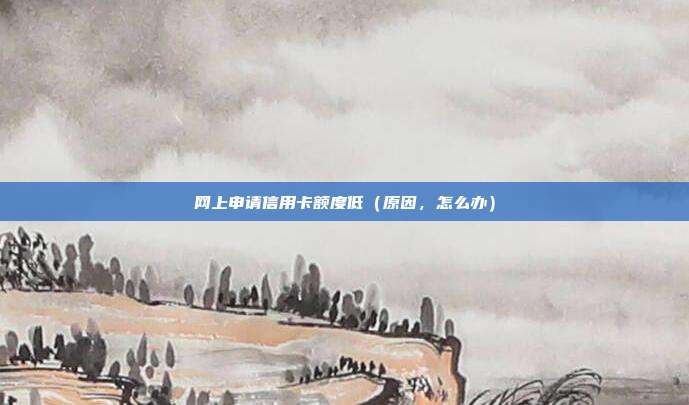 网上申请信用卡额度低(原因,怎么办)