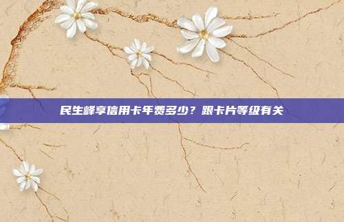 民生峰享信用卡年费多少？跟卡片等级有关