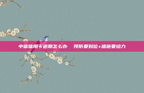 中信信用卡逾期怎么办  预防要到位+措施要给力