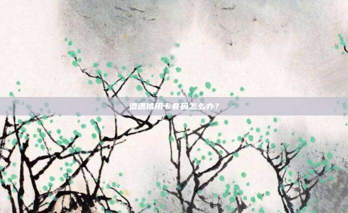 遭遇信用卡套码怎么办？