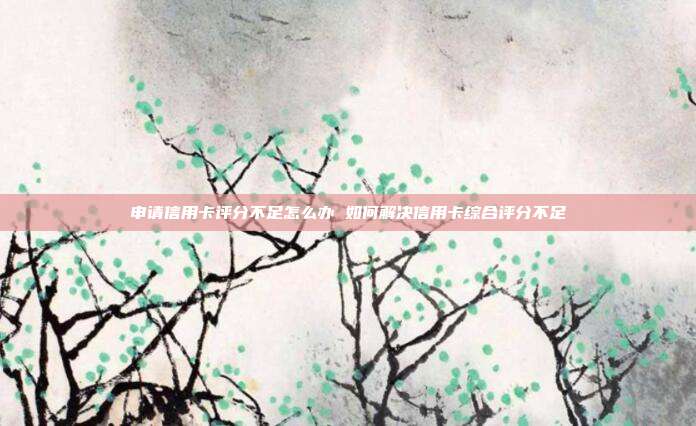 申请信用卡评分不足怎么办 如何解决信用卡综合评分不足