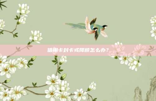 信用卡封卡或降额怎么办?