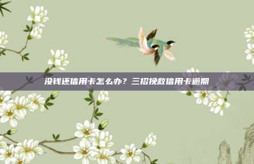 没钱还信用卡怎么办？三招挽救信用卡逾期