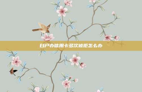 白户办信用卡多次被拒怎么办