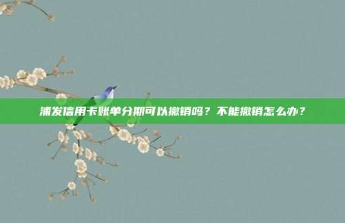 浦发信用卡账单分期可以撤销吗？不能撤销怎么办？