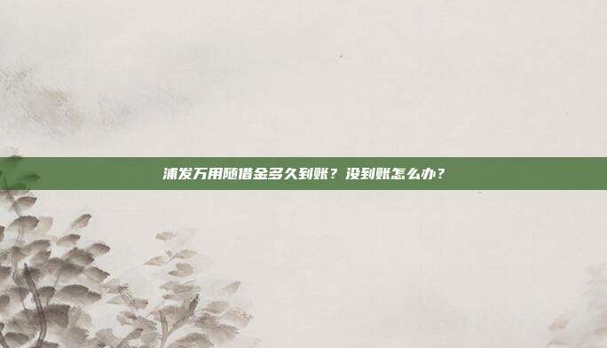 浦发万用随借金多久到账?没到账怎么办?