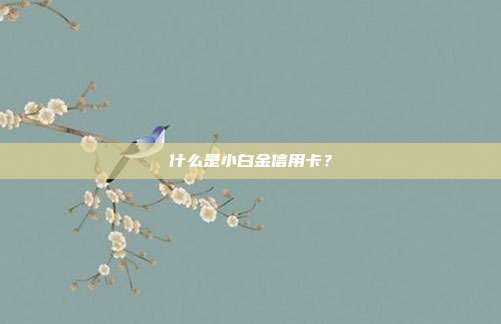 什么是小白金信用卡?