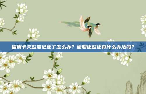 信用卡欠款忘记还了怎么办？逾期还款还有什么办法吗？