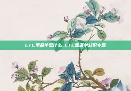 ETC黑名单是什么_ETC黑名单知识专题