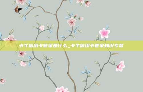 卡牛信用卡管家是什么_卡牛信用卡管家知识专题