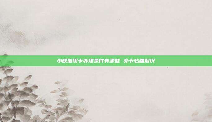 小额信用卡办理条件有哪些 办卡必备知识