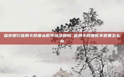 盛京银行信用卡额度太低可以注销吗 信用卡额度低不想要怎么办
