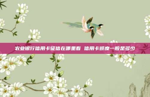 农业银行信用卡征信在哪里看 信用卡额度一般是多少