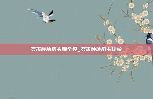 多币种信用卡哪个好_多币种信用卡比较