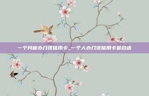一个月能办几张信用卡_一个人办几张信用卡最合适