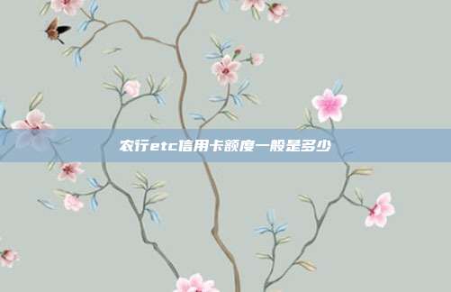 农行etc信用卡额度一般是多少