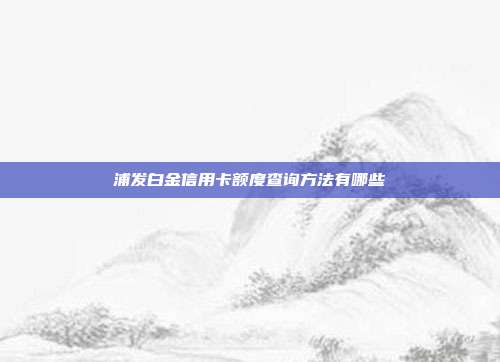浦发白金信用卡额度查询方法有哪些