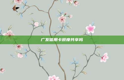 广发信用卡额度共享吗