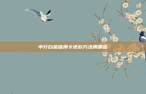 中行白金信用卡还款方法用哪些