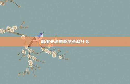 信用卡逾期要注意些什么