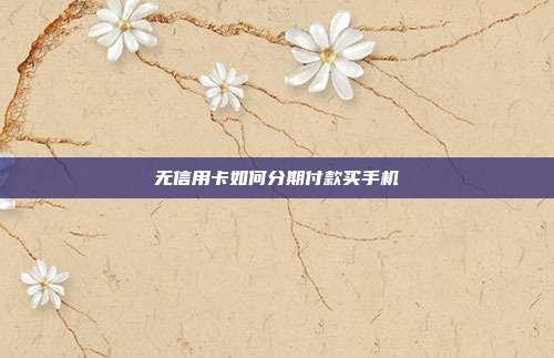 无信用卡如何分期付款买手机