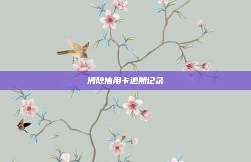 消除信用卡逾期记录