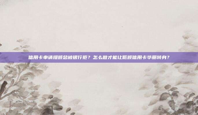 信用卡申请提额总被银行拒？怎么做才能让低额信用卡华丽转身？