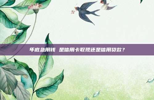年底急用钱 是信用卡取现还是信用贷款？