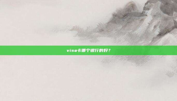 visa卡哪个银行的好？