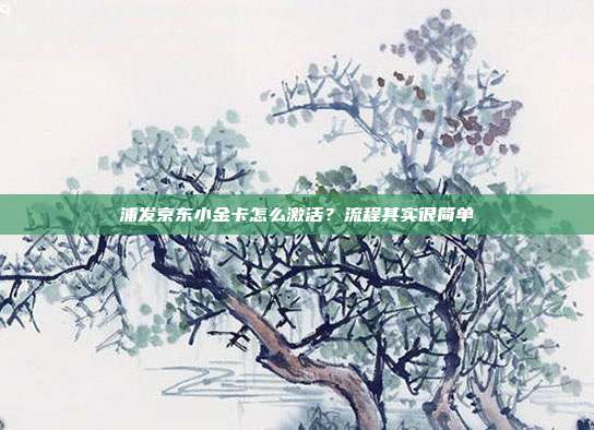 浦发京东小金卡怎么激活？流程其实很简单