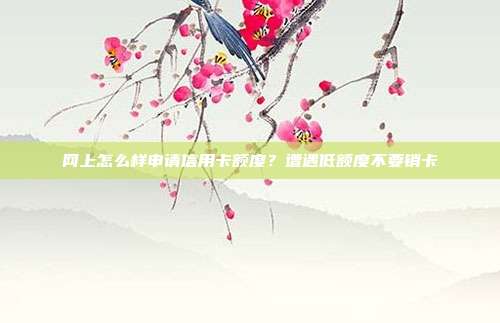 网上怎么样申请信用卡额度？遭遇低额度不要销卡