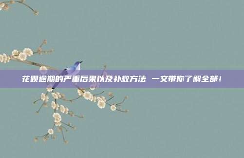 花呗逾期的严重后果以及补救方法 一文带你了解全部！