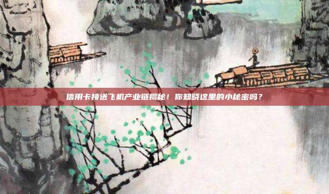 信用卡接送飞机产业链揭秘！你知晓这里的小秘密吗？