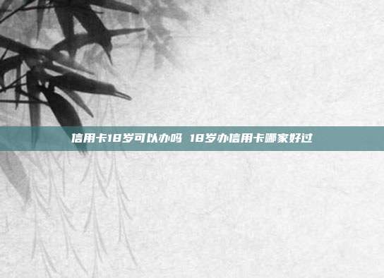 信用卡18岁可以办吗 18岁办信用卡哪家好过
