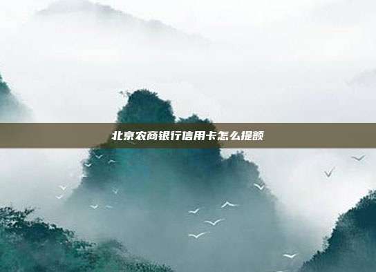 北京农商银行信用卡怎么提额