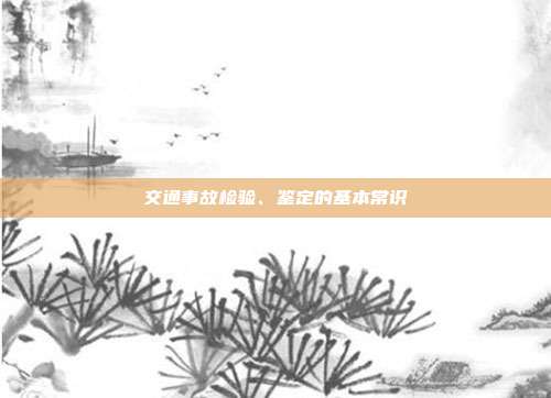 交通事故检验、鉴定的基本常识