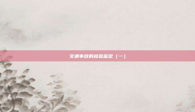 交通事故的检验鉴定(一)