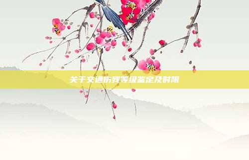 关于交通伤残等级鉴定及时限